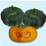 Pumpkin Seeds Choice - 10 Gm