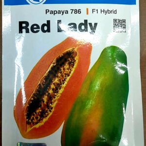 Red Lady papaya