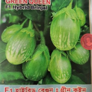 Green Queen Brinjal Seeds