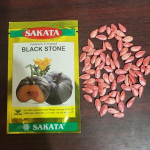 Blackstone Pumpkin Seeds