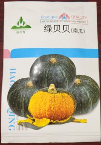 Japanese Pumpkin Seeds