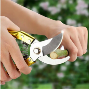 8 inch garden scissors/ Fruit tree pruning shears/ Bonsai pruners grafting cutter