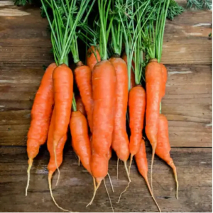 Hybrid Carrot 55 pcs Seed ( গাজর - 55 টি বীজ )
