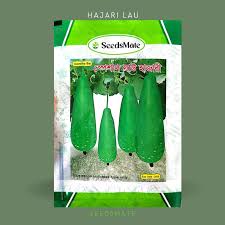 Hajari Bottle Gourd Seeds Mini Packet