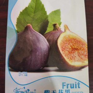 Fig Seeds (Purple)