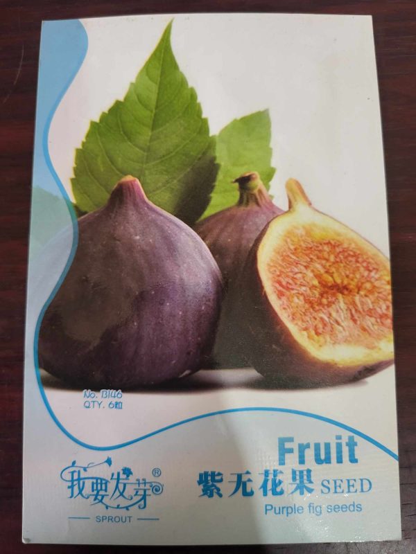 Fig Seeds (Purple)