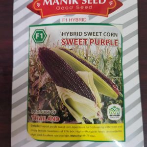 Hybrid Sweet Corn (Sweet Purple)