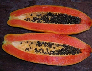 red papaya