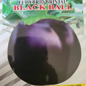F1 HYBRID BRINJAL (BLACK BALL)