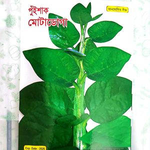Green Malabar Spinach Seeds / green Pui Sakh Seeds – 10 gm