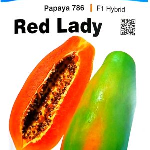 Red lady papaya