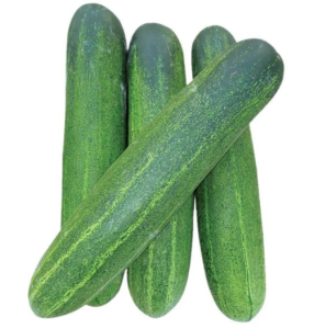 F1 Hybrid CUCUMBER BIG GREEN