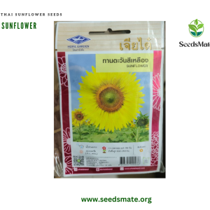 Thai SUNFLOWER SEEDS