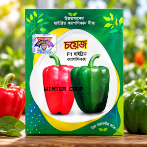 ক্যাপসিকাম চয়েজ বীজ ৪০০+ বীজ (2GM)