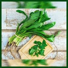 বিলাতি ধনিয়া বীজ