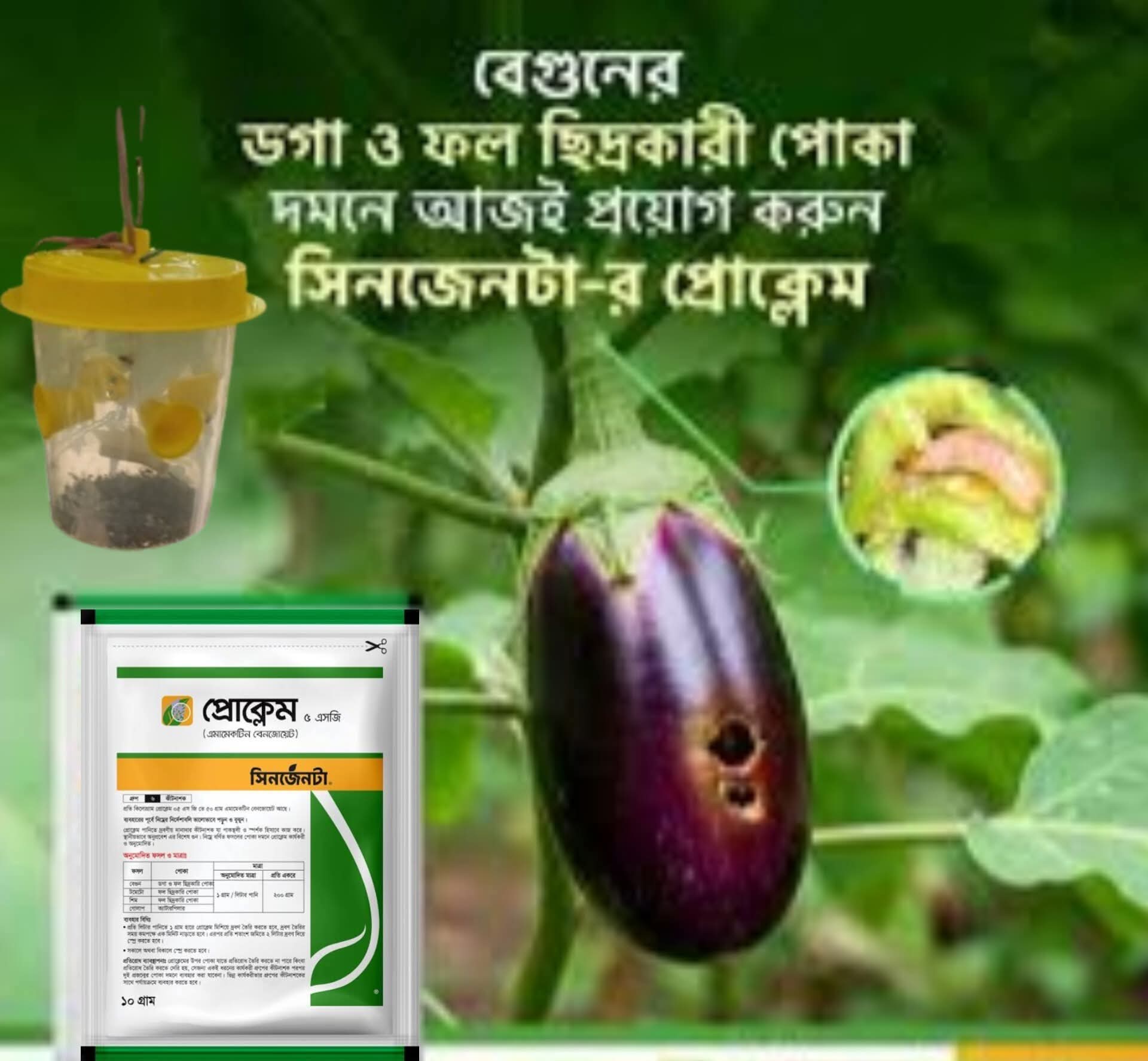 বেগুনের ডগা ছিদ্রকারী মনের ঔষধ প্রকলেম