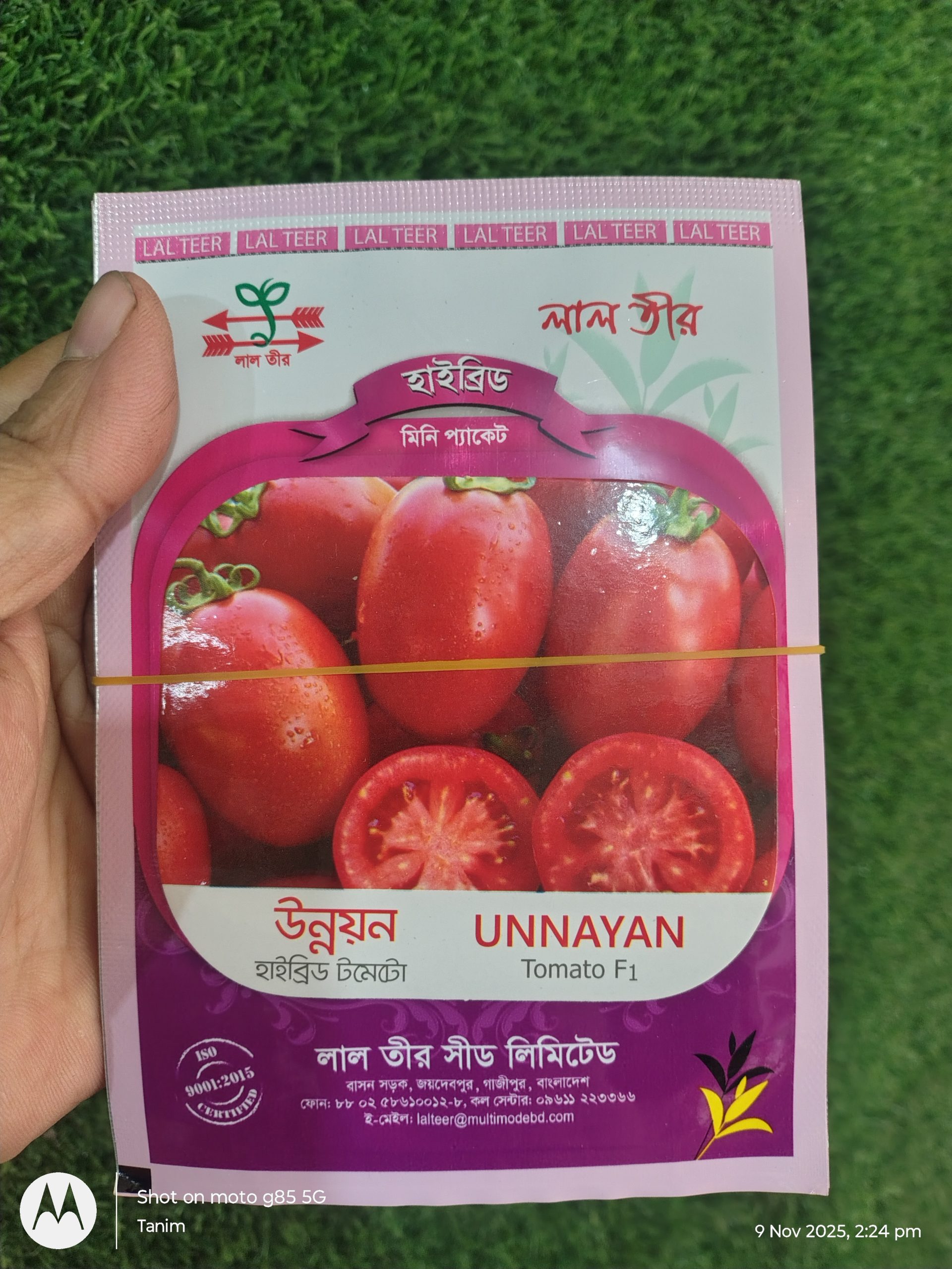 উন্নয়ন টমেটো মিনি প্যাকেট