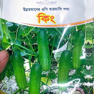 কিং শসা বারোমাসি ৫ গ্রাম বীজ