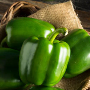 ক্যাপসিকাম / Capsicum Seeds