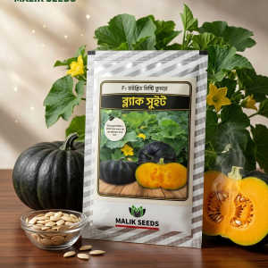 Black Sweet F1 Hybrid Sweet Pumpkin mini packet