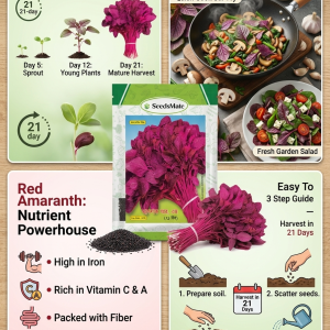 SeedsMate Red Amaranth (Lal Shak) RM 50 গ্রাম প্যাকেট
