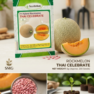 SeedsMate F1 Hybrid Rockmelon - Thai Celebrate 5 gm packet