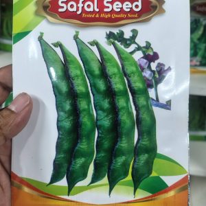 নলডগ শিম উচ্চ ফলনশীল বীজ