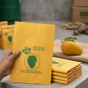 Mango Fruit protection bag