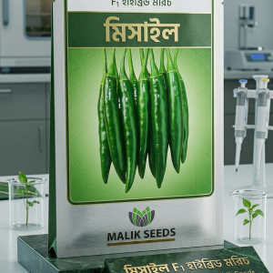 মিসাইল F1 হাইব্রিড মরিচ সাশ্রয়ী দামে সেরা ফলন! 🌶️