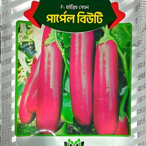 পার্পেল বিউটি বেগুন ৫ গ্রাম প্যাকেট