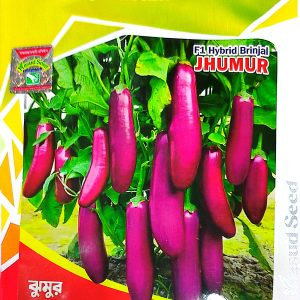 ঝুমুর F1 হাইব্রিড লম্বা বেগুন বীজ (Jhumur F1 Hybrid Brinjal Seeds)