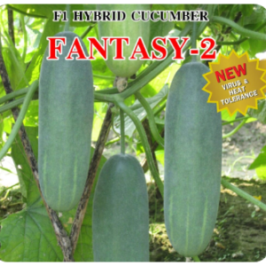 Chia Tai Seed, Fantasy 2 Cucumber