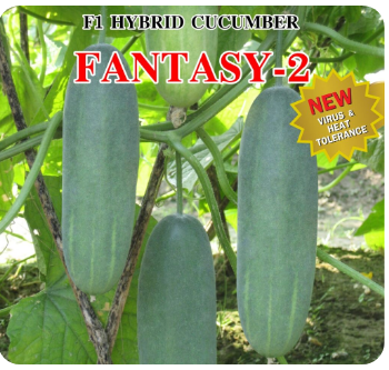 Chia Tai Seed, Fantasy 2 Cucumber