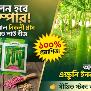 নিকলী প্লাস লাউ সারা বছর চাষ উপযোগী 10 gm