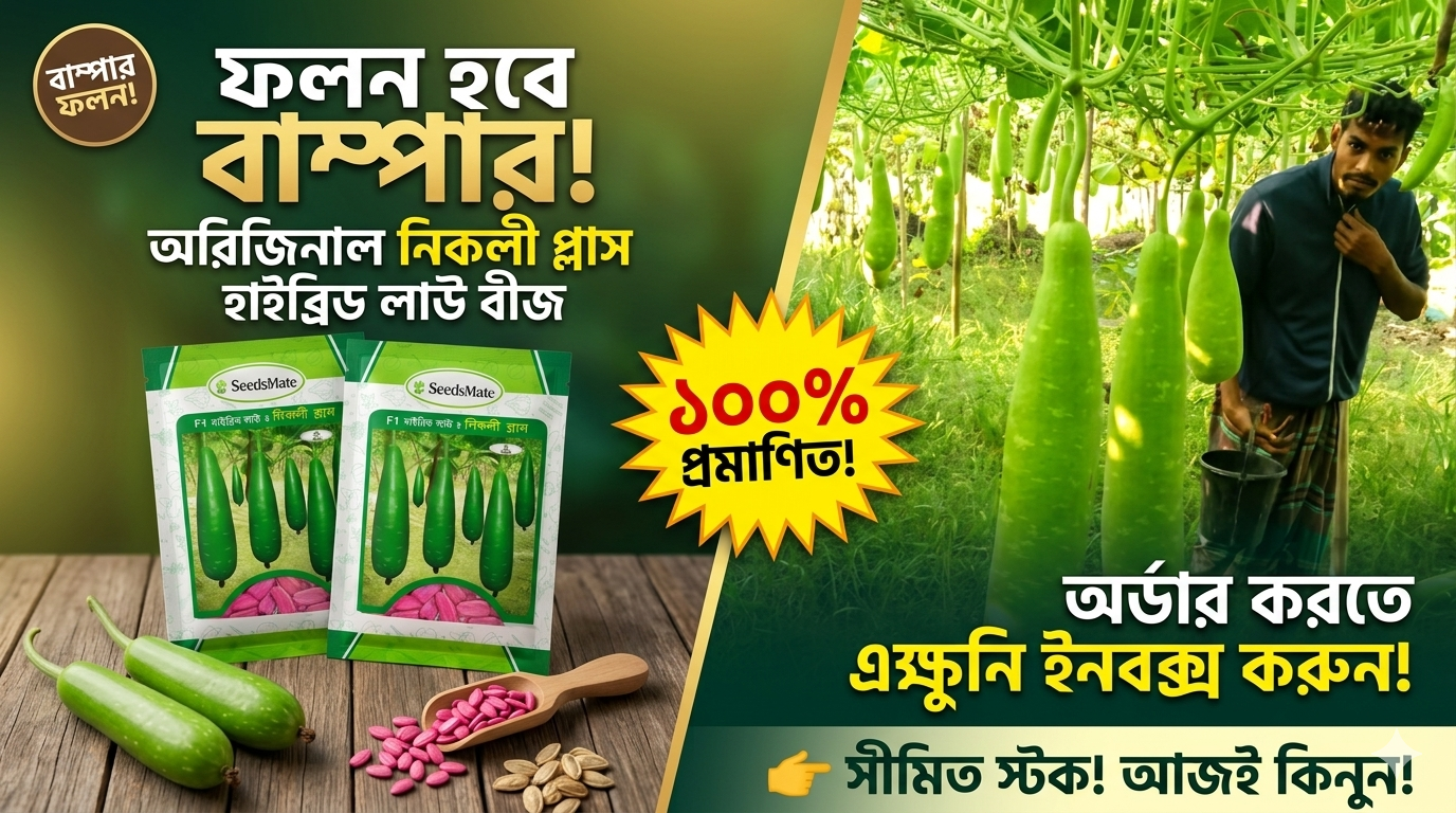 নিকলী প্লাস লাউ সারা বছর চাষ উপযোগী 10 gm