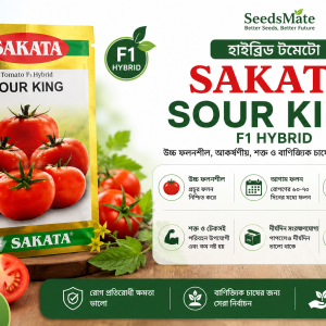 SAKATA Sour King F1 Hybrid Tomato Seeds Premium High Yield Tomato Seeds