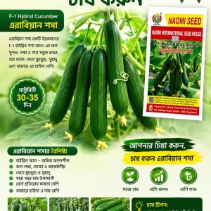 এরাবিয়ান শসা খুব ভালো ফলন হয়ে থাকে বাণিজ্যিক ভাবে চাষ উপযোগী