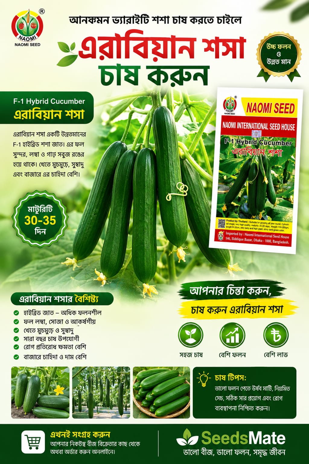 এরাবিয়ান শসা খুব ভালো ফলন হয়ে থাকে বাণিজ্যিক ভাবে চাষ উপযোগী