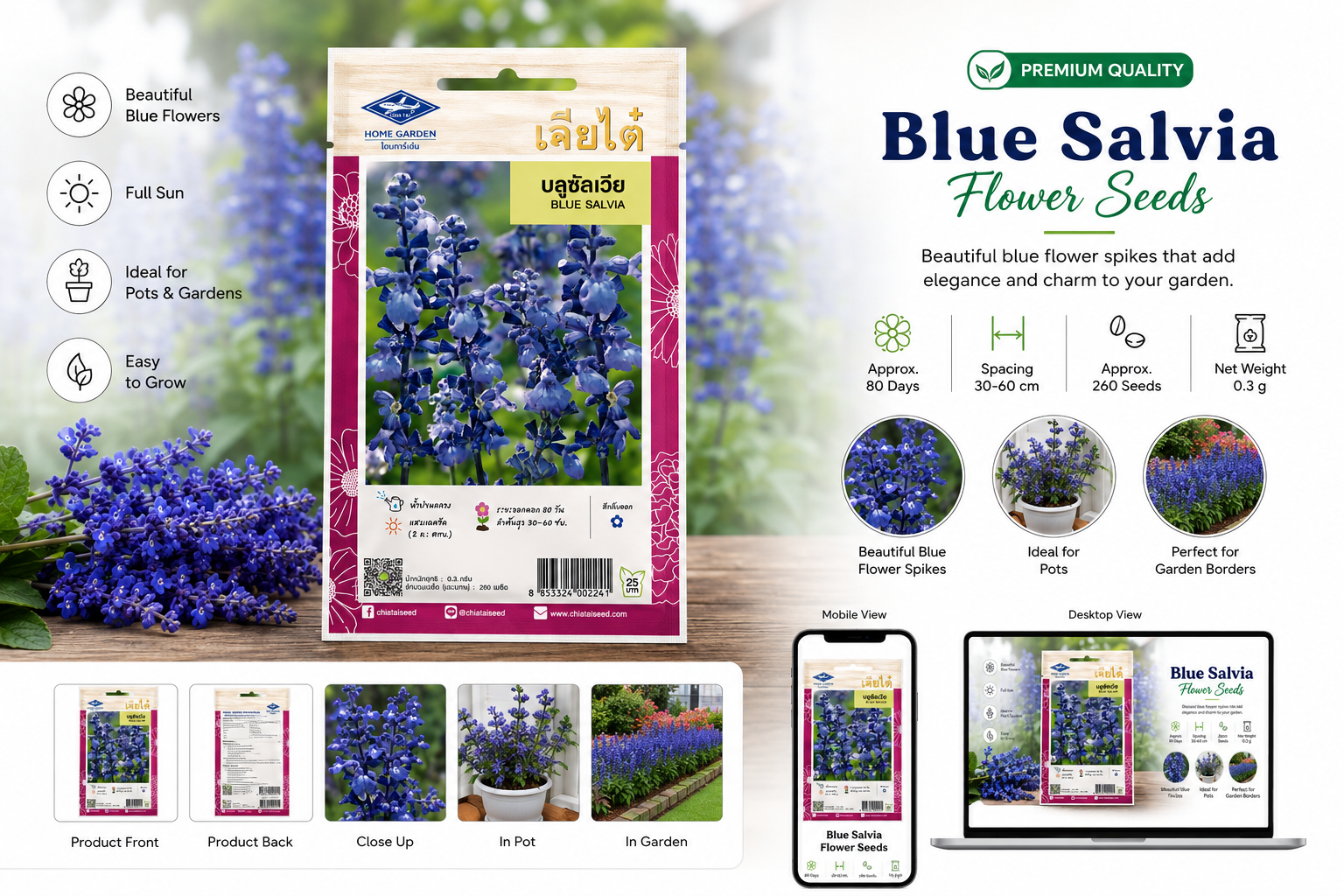 Blue Salvia Flower Seeds – Chia Tai Home Garden