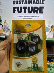 United Seed কাজলা F1 হাইব্রিড বেগুন বীজ