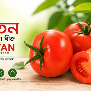 Ratan Tomato Seeds | রতন টমেটো বীজ | উচ্চফলনশীল টমেটো বীজ