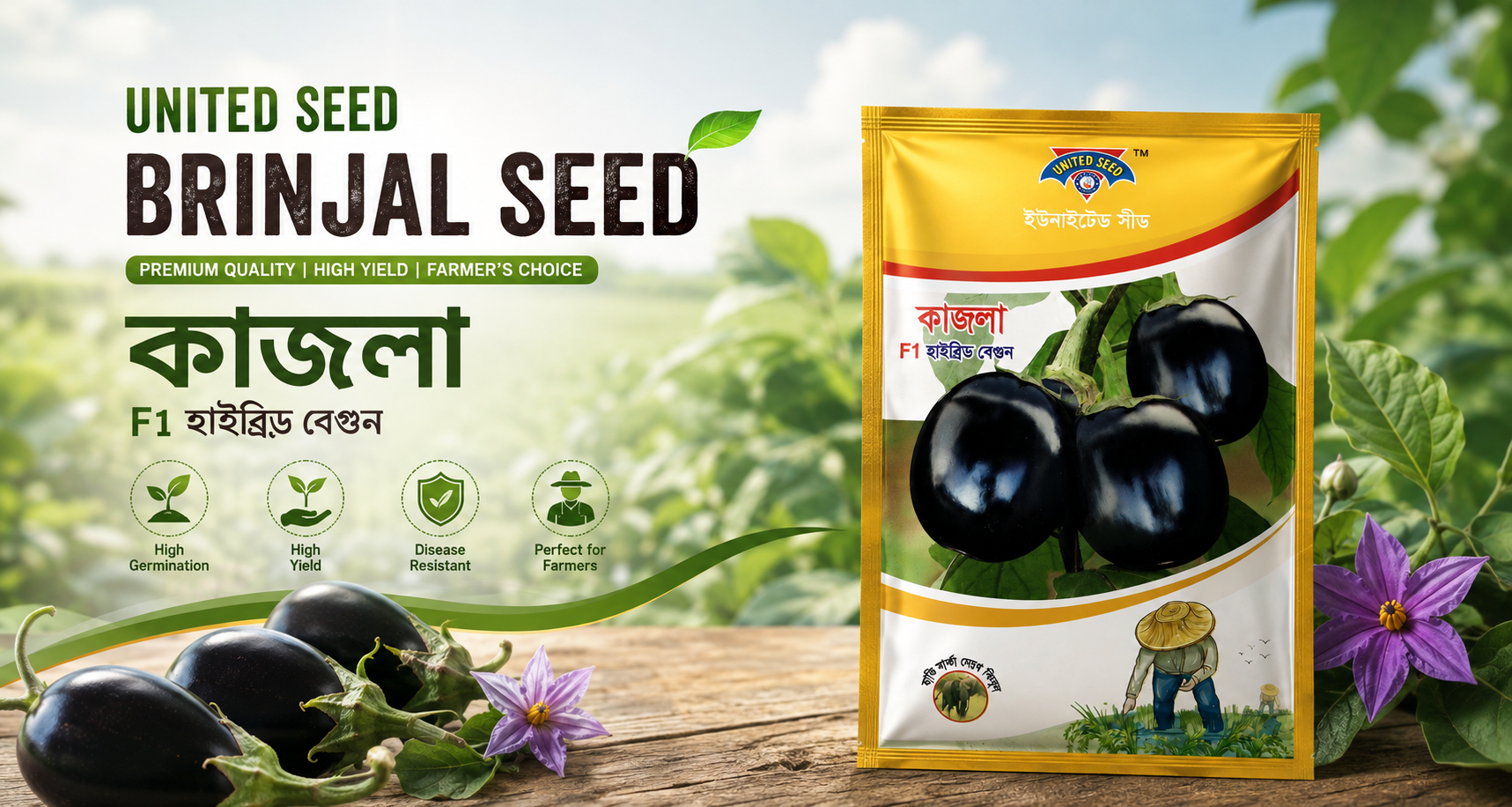 United Seed কাজলা F1 হাইব্রিড বেগুন বীজ