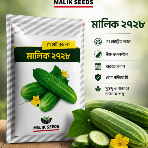Malik 2728 F1 Hybrid Cucumber Seeds 200 Seeds