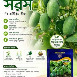 সারস খিরাই বীজ | United Seeds Cucumber Seed | SeedsMate