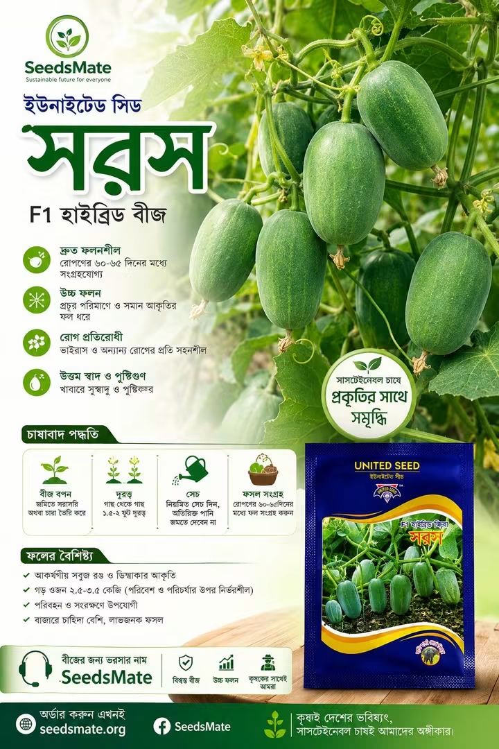 সারস খিরাই বীজ | United Seeds Cucumber Seed | SeedsMate