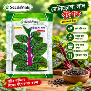 মোটাডোগা লাল পুঁইশাক বীজ 50 Gm Packet| Motadoga Red Pui Shak Seeds | SeedsMate