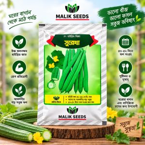 সুরেখা F1 হাইব্রিড ঝিঙা বীজ মালিক সিডস
