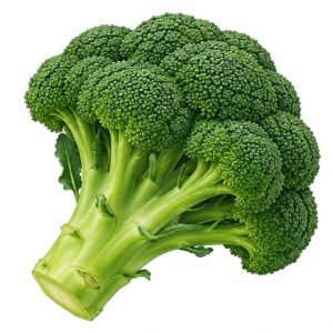barbara-hybrid-broccoli-seeds-seedsmate.jpg