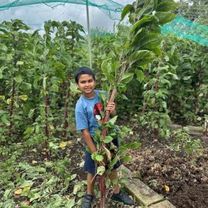 আঁখি ডাটা বীজ ১০ গ্রাম | বড় ও লম্বা ডাটার জাত | Brac Seed
