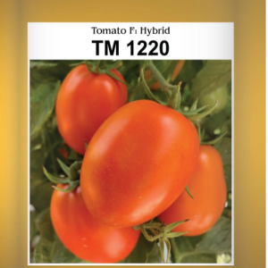 Sakata TM 1220 Tomato Seeds 5 GM – সাকাতা টি এম ১২২০ টমেটো বীজ | SeedsMate